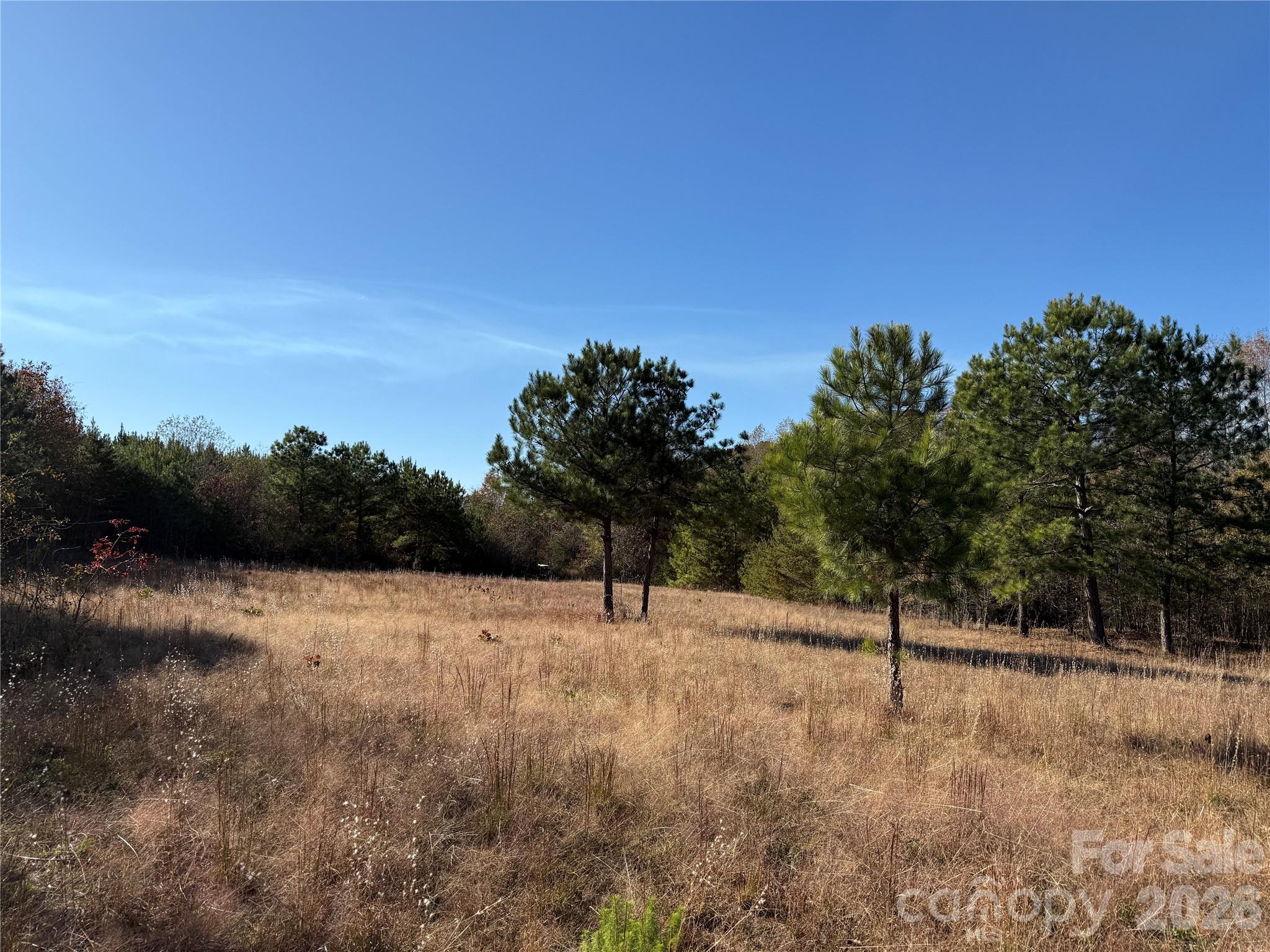 164 Haines Road Jackson Springs NC 27281