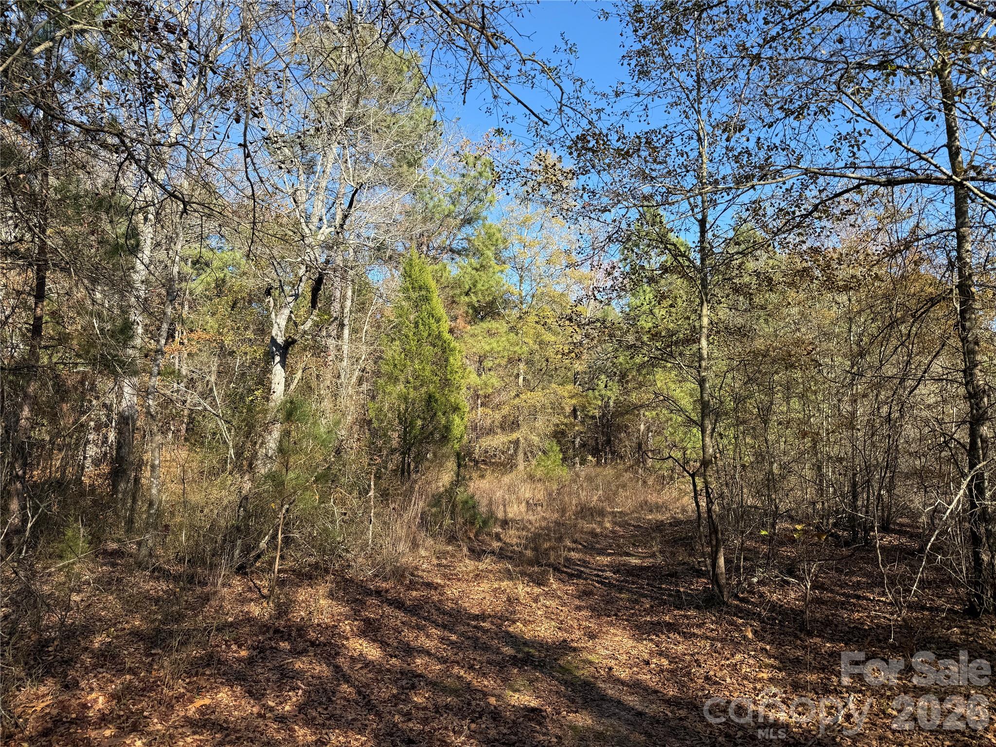 164 Haines Road Jackson Springs NC 27281