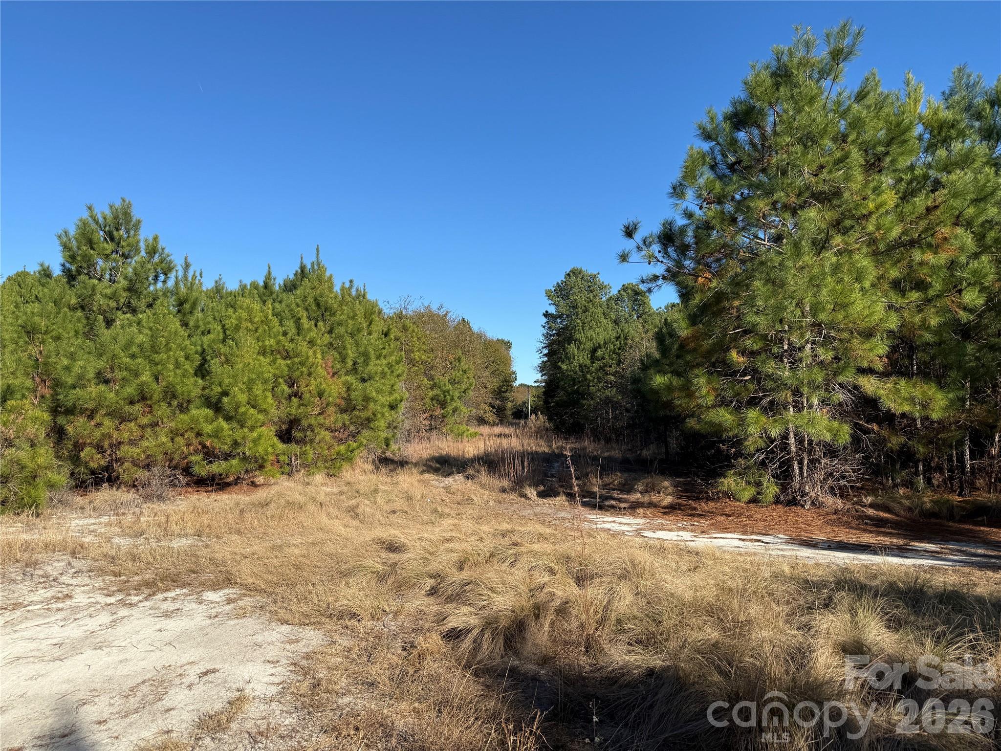 164 Haines Road Jackson Springs NC 27281