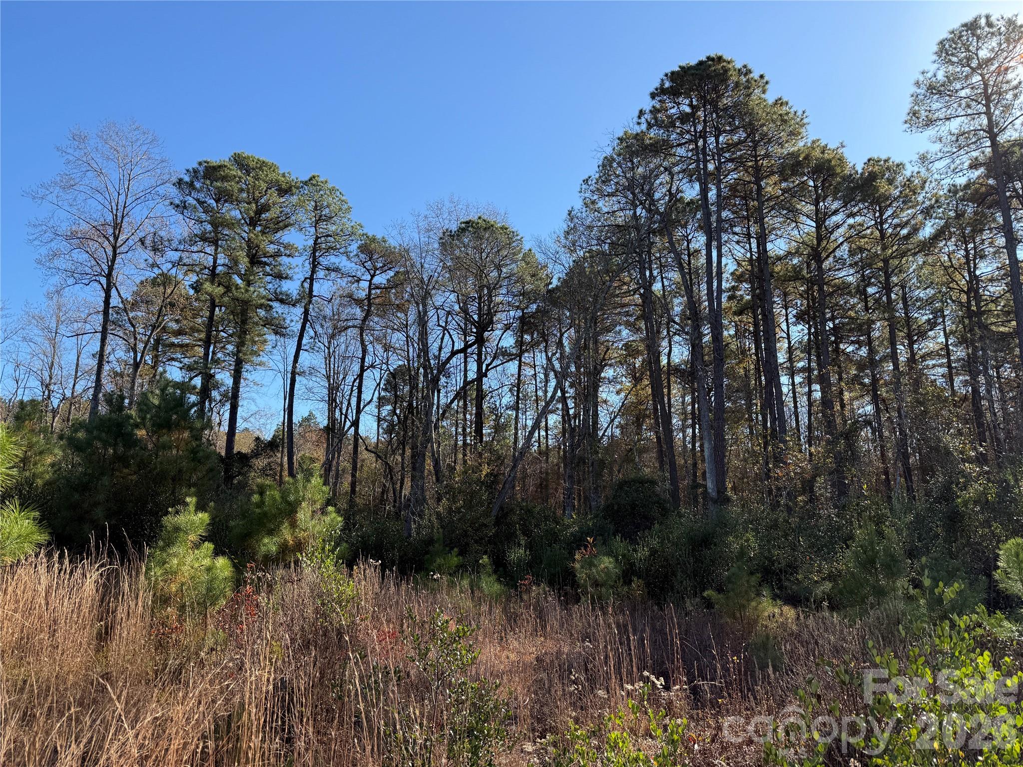 164 Haines Road Jackson Springs NC 27281