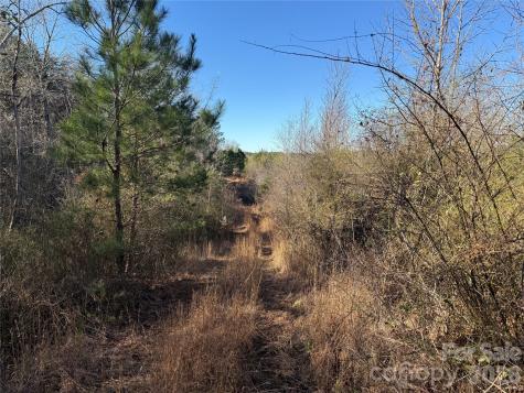 164 Haines Road Jackson Springs NC 27281