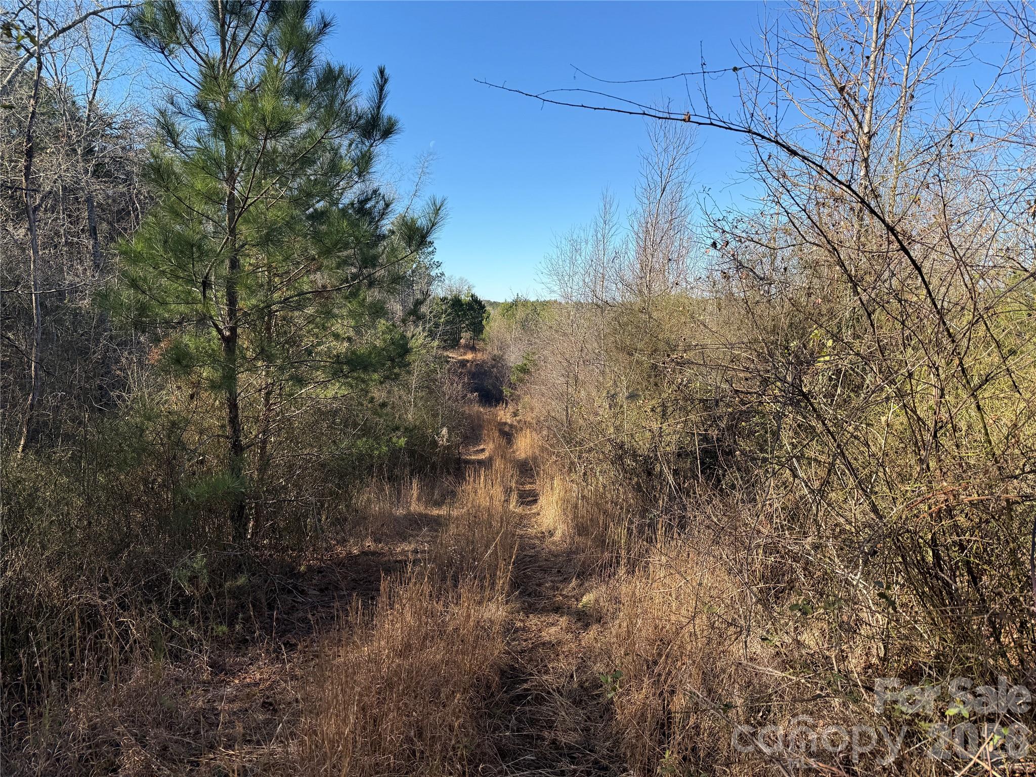 164 Haines Road Jackson Springs NC 27281