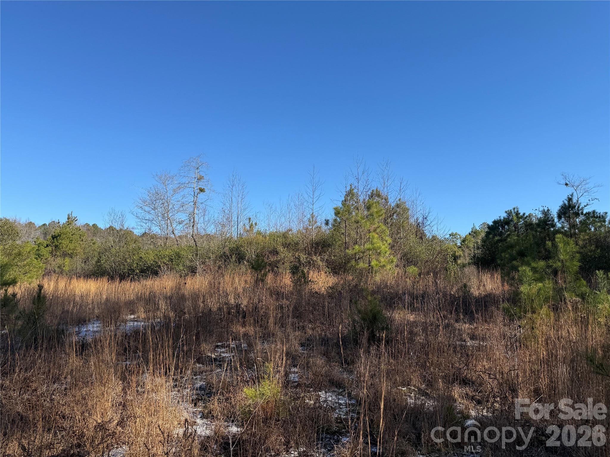 164 Haines Road Jackson Springs NC 27281
