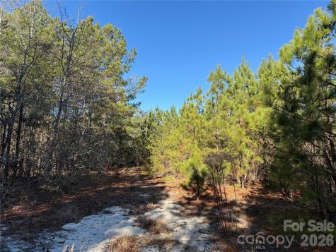 164 Haines Road Jackson Springs NC 27281