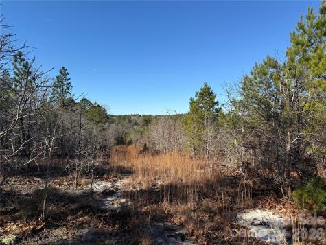 164 Haines Road Jackson Springs NC 27281