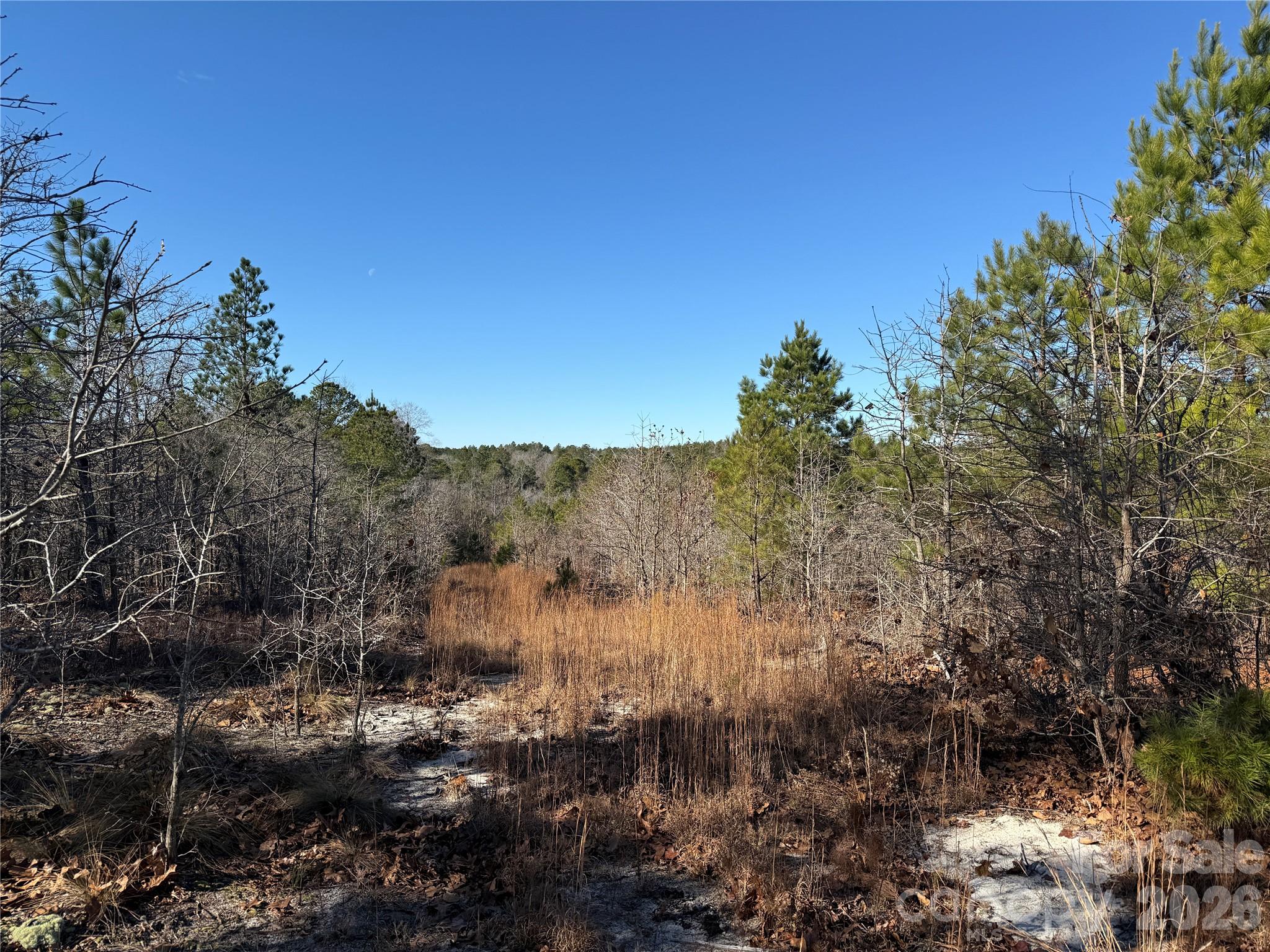 164 Haines Road Jackson Springs NC 27281