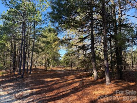 164 Haines Road Jackson Springs NC 27281