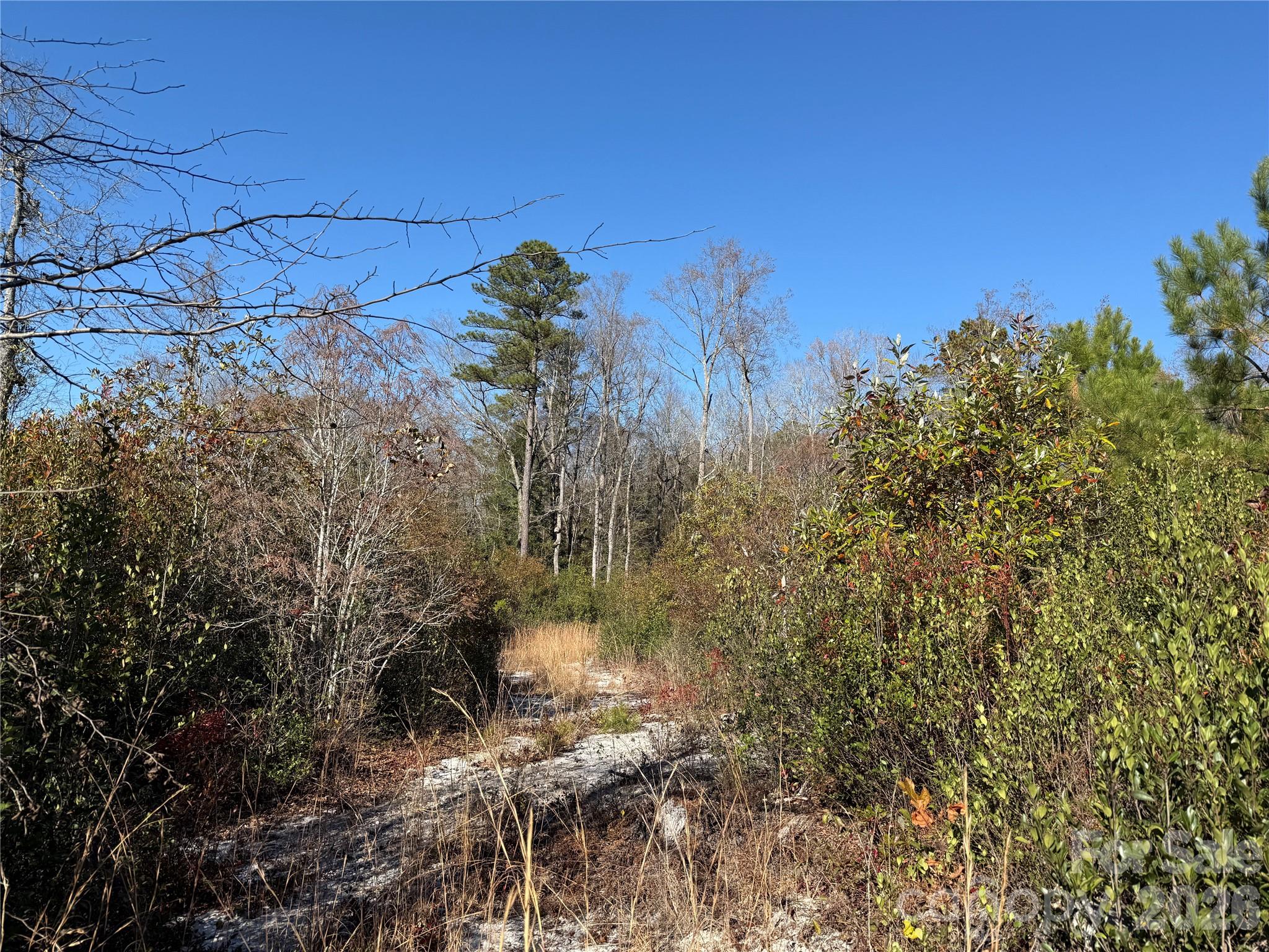 164 Haines Road Jackson Springs NC 27281