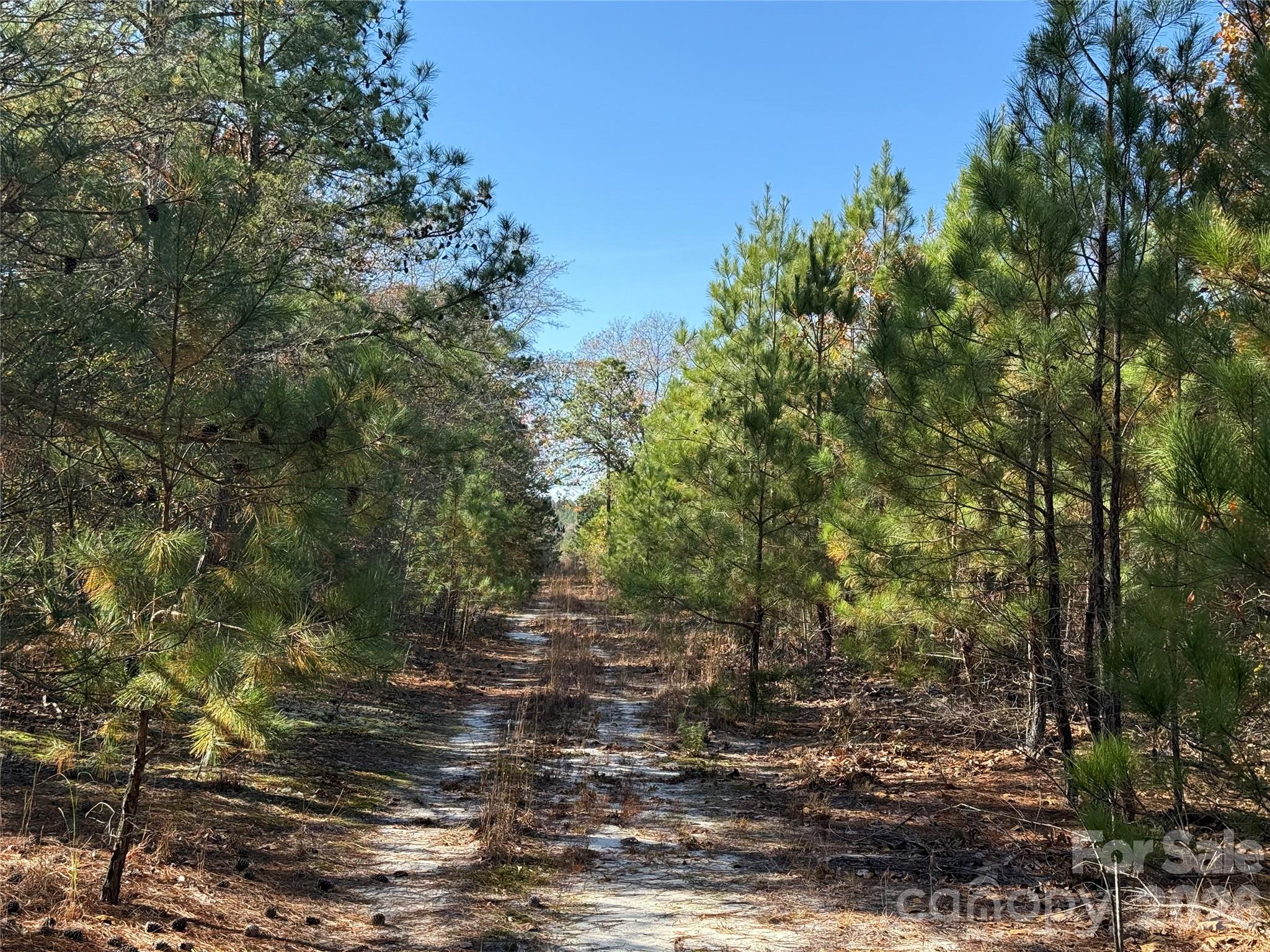 164 Haines Road Jackson Springs NC 27281