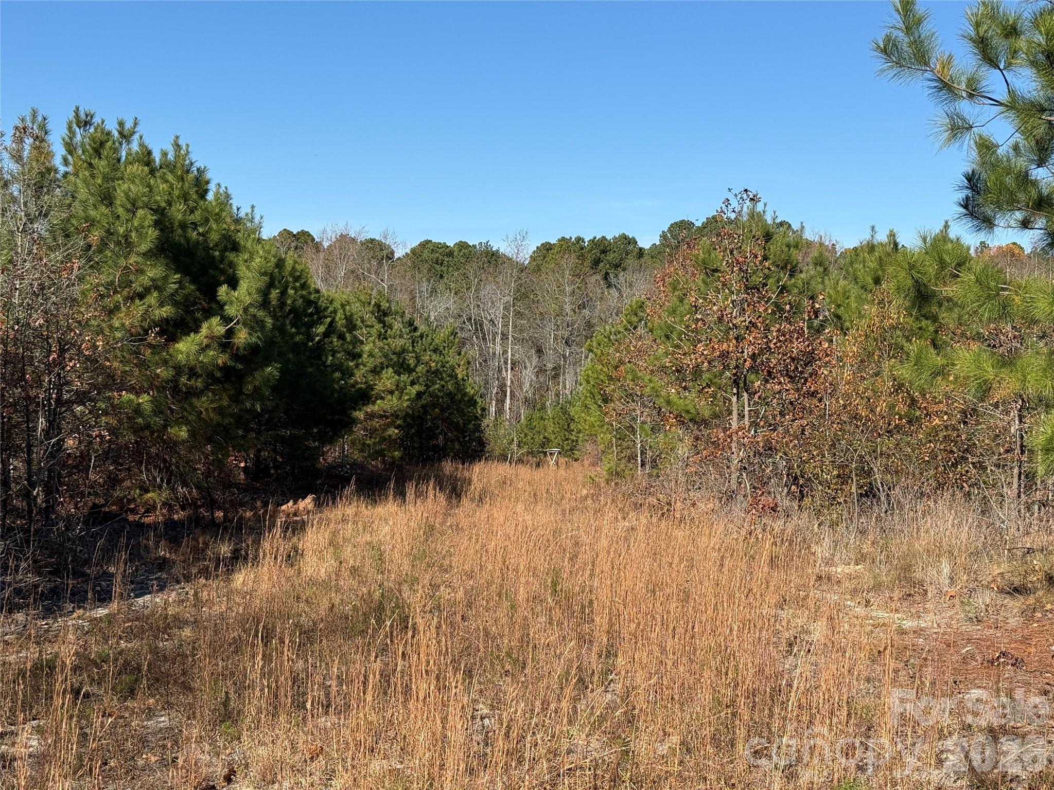 164 Haines Road Jackson Springs NC 27281