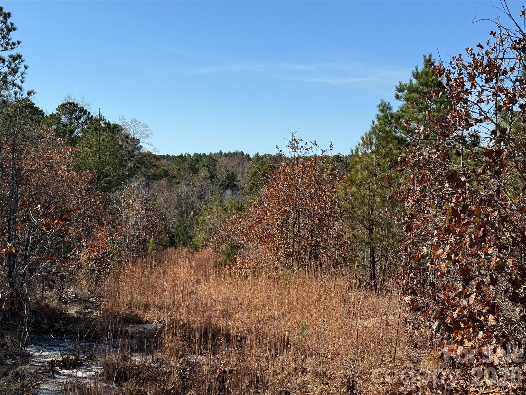 164 Haines Road Jackson Springs NC 27281