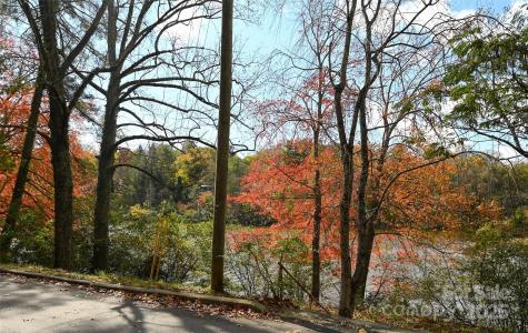 22 E Shore Drive Asheville NC 28805