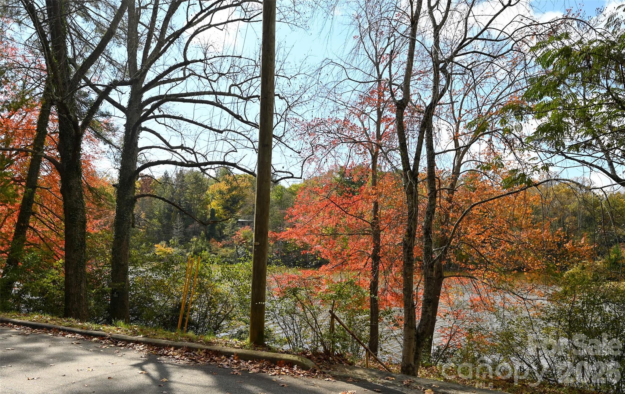 22 E Shore Drive Asheville NC 28805