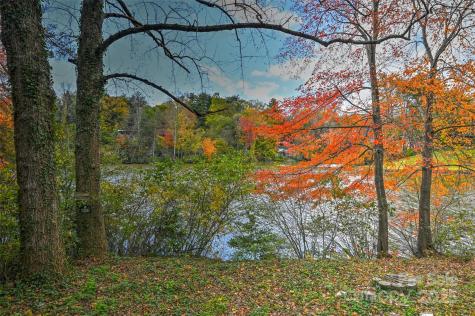 22 E Shore Drive Asheville NC 28805