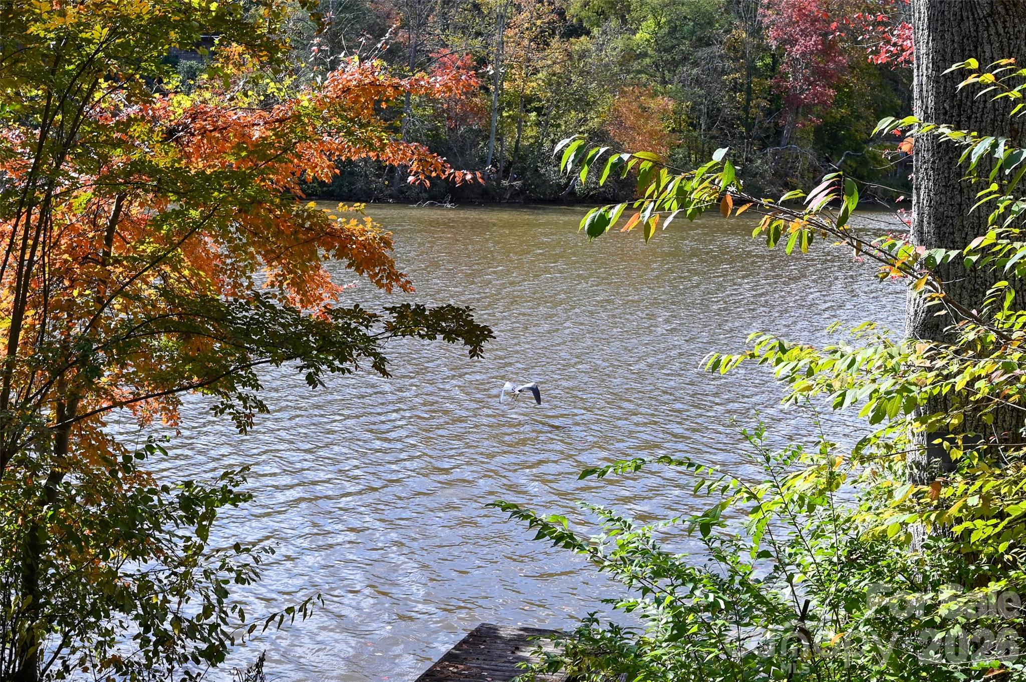 22 E Shore Drive Asheville NC 28805