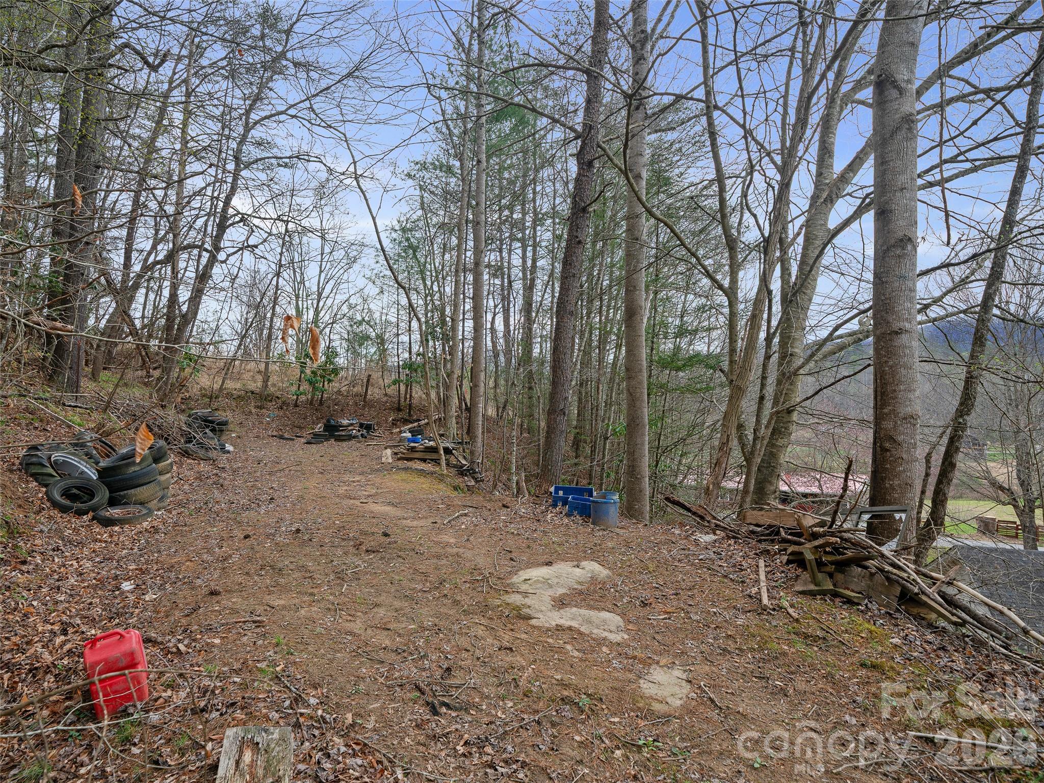 2432 Grapevine Road Marshall NC 28753