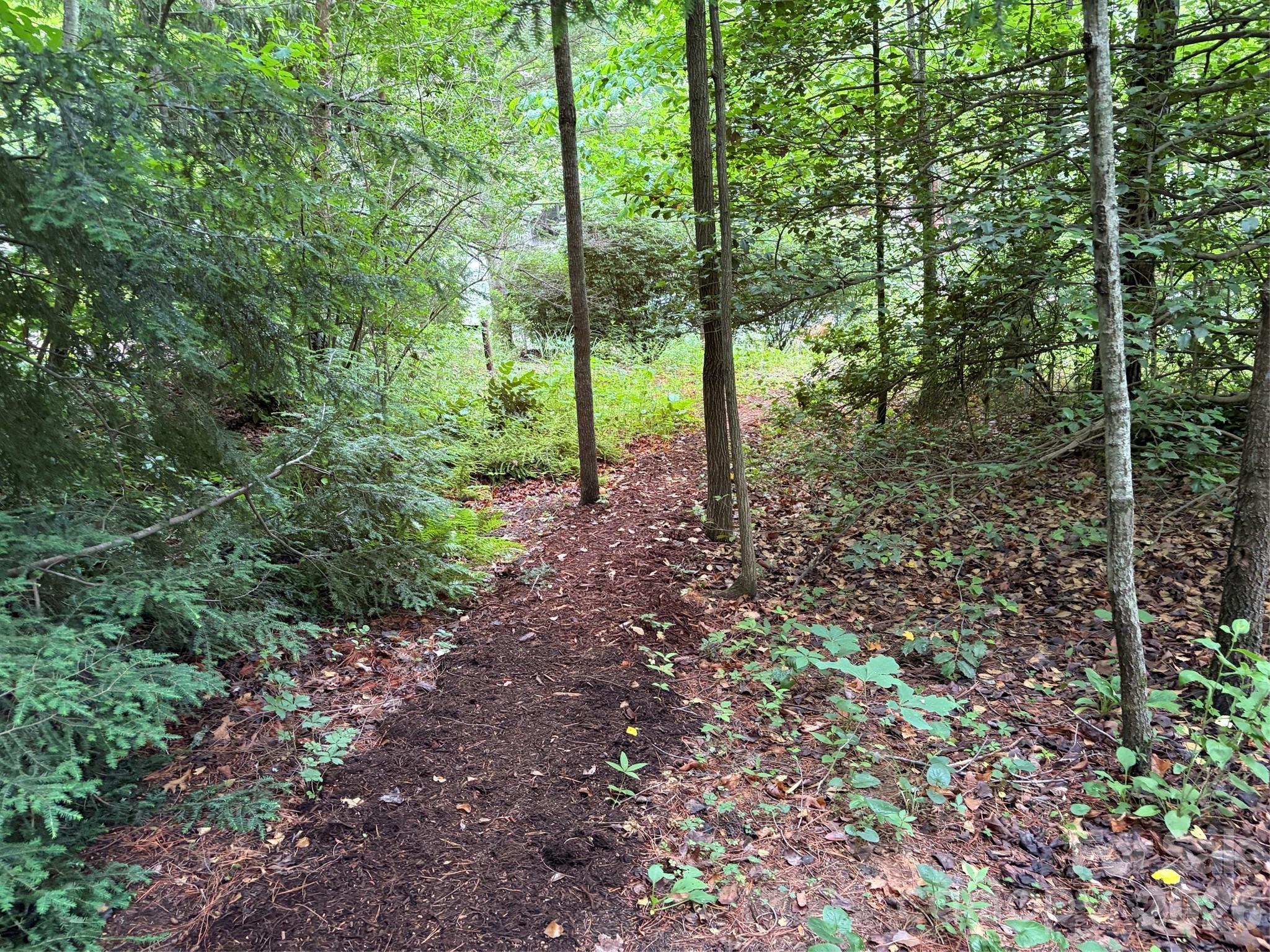 46 Cheshire Drive Black Mountain NC 28711