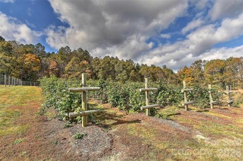 153 Badenyon Place Union Grove NC 28689