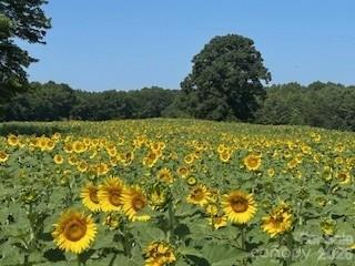 153 Badenyon Place Union Grove NC 28689