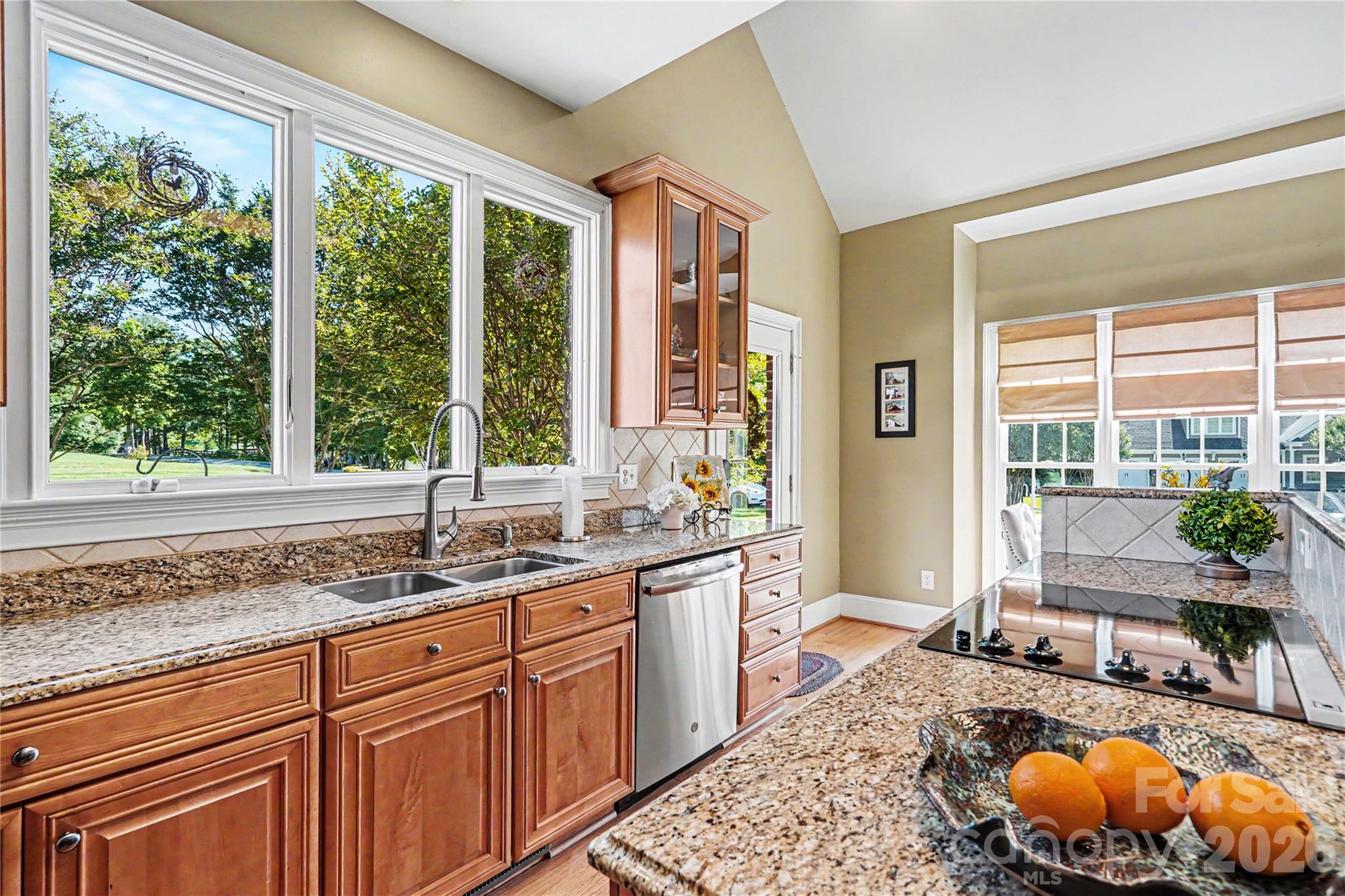 161 Sagemore Road Mooresville NC 28117