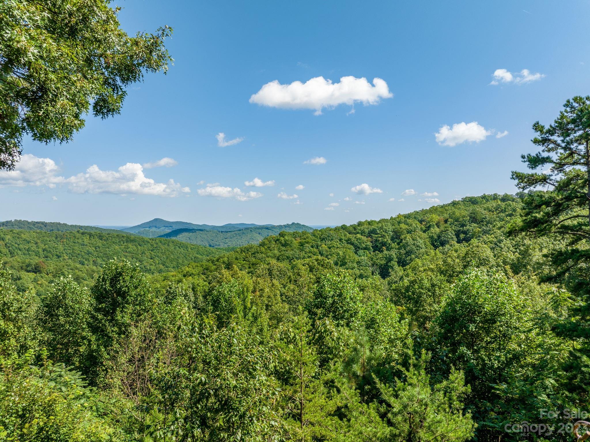 414 Mountain Lookout Drive Bostic NC 28018