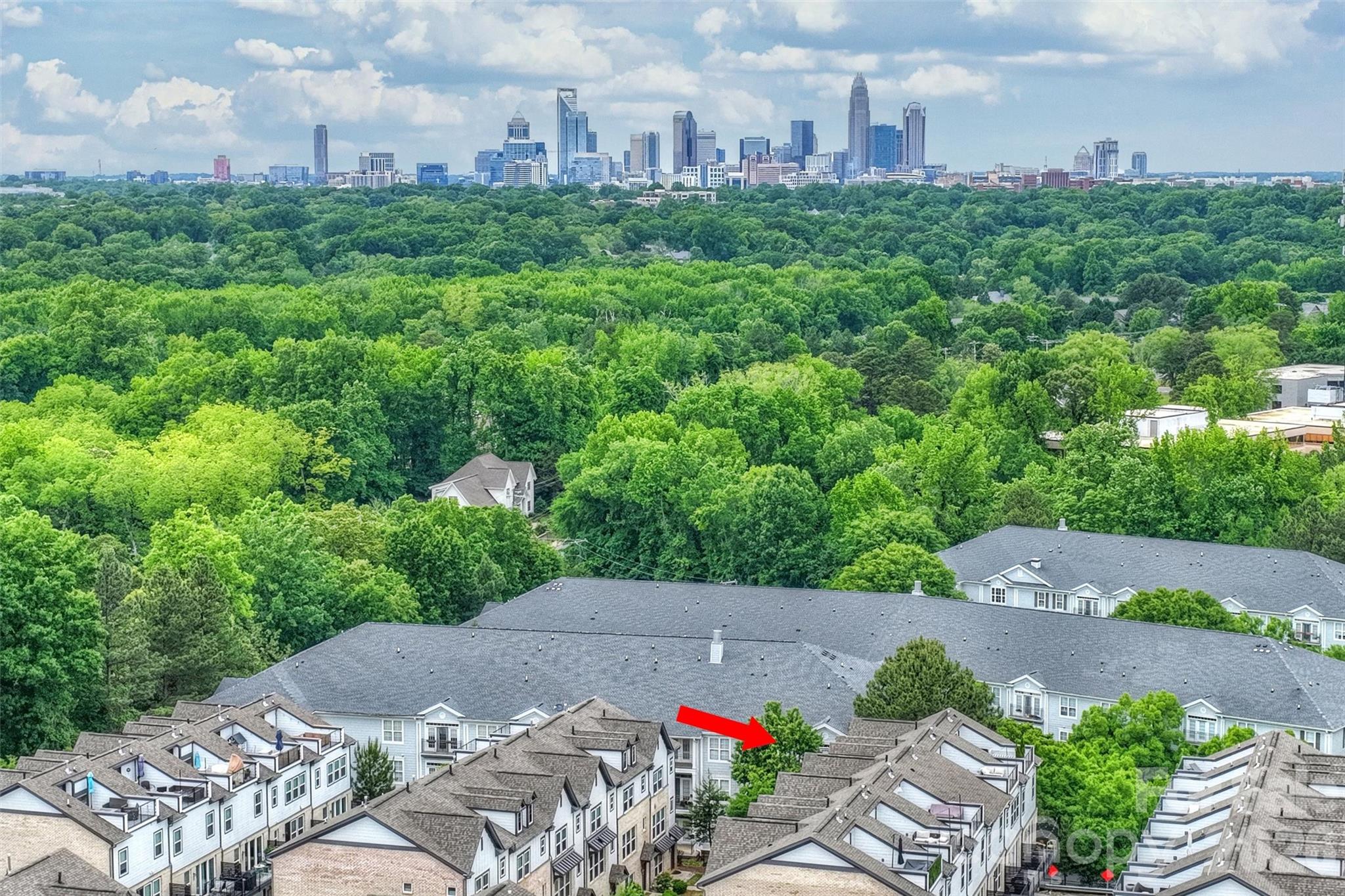 420 Grey Reagan Trail Charlotte NC 28211