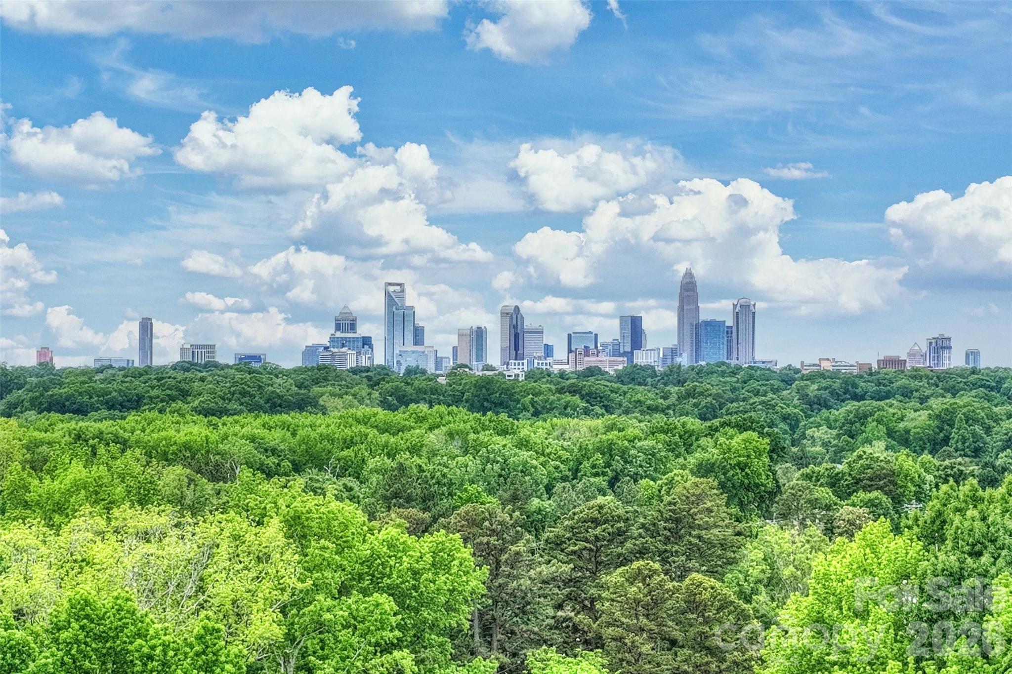 420 Grey Reagan Trail Charlotte NC 28211