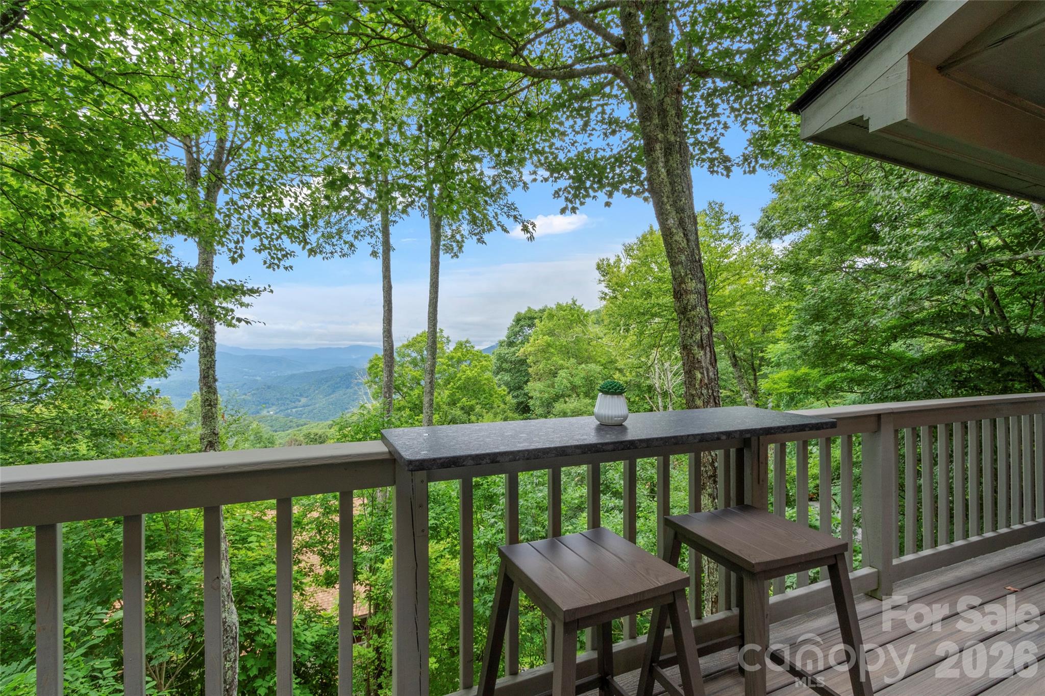 135 Club House Drive Burnsville NC 28714