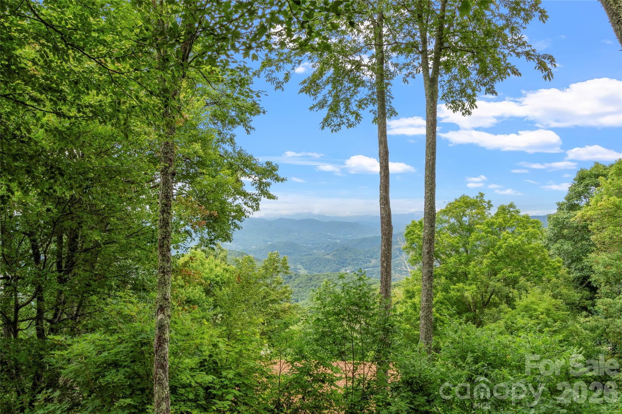 135 Club House Drive Burnsville NC 28714