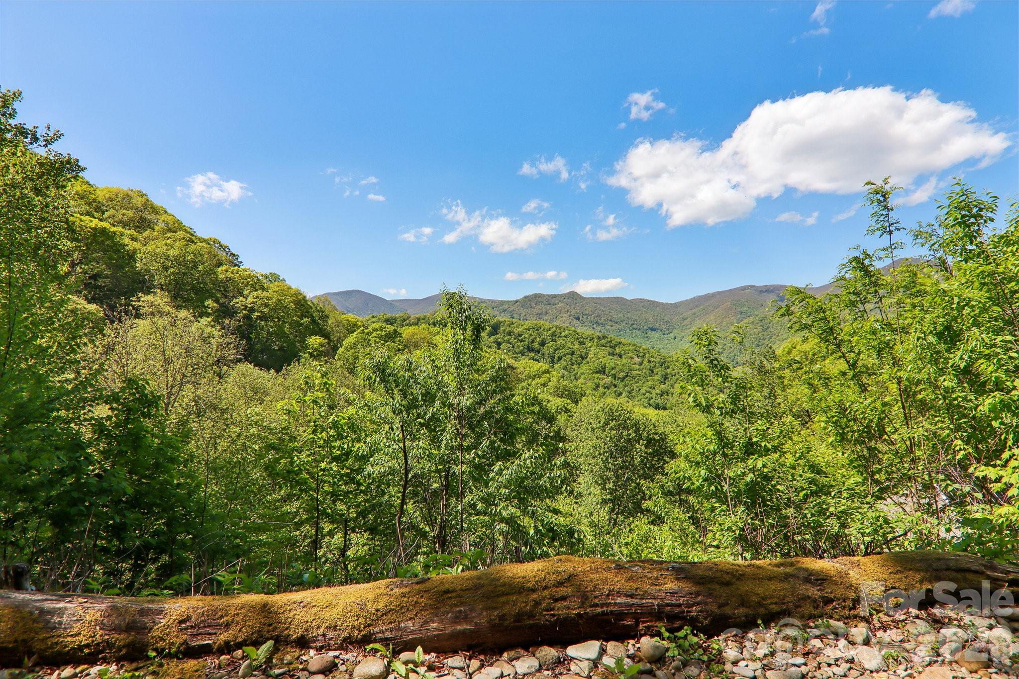 695 Wildcat Run Maggie Valley NC 28751
