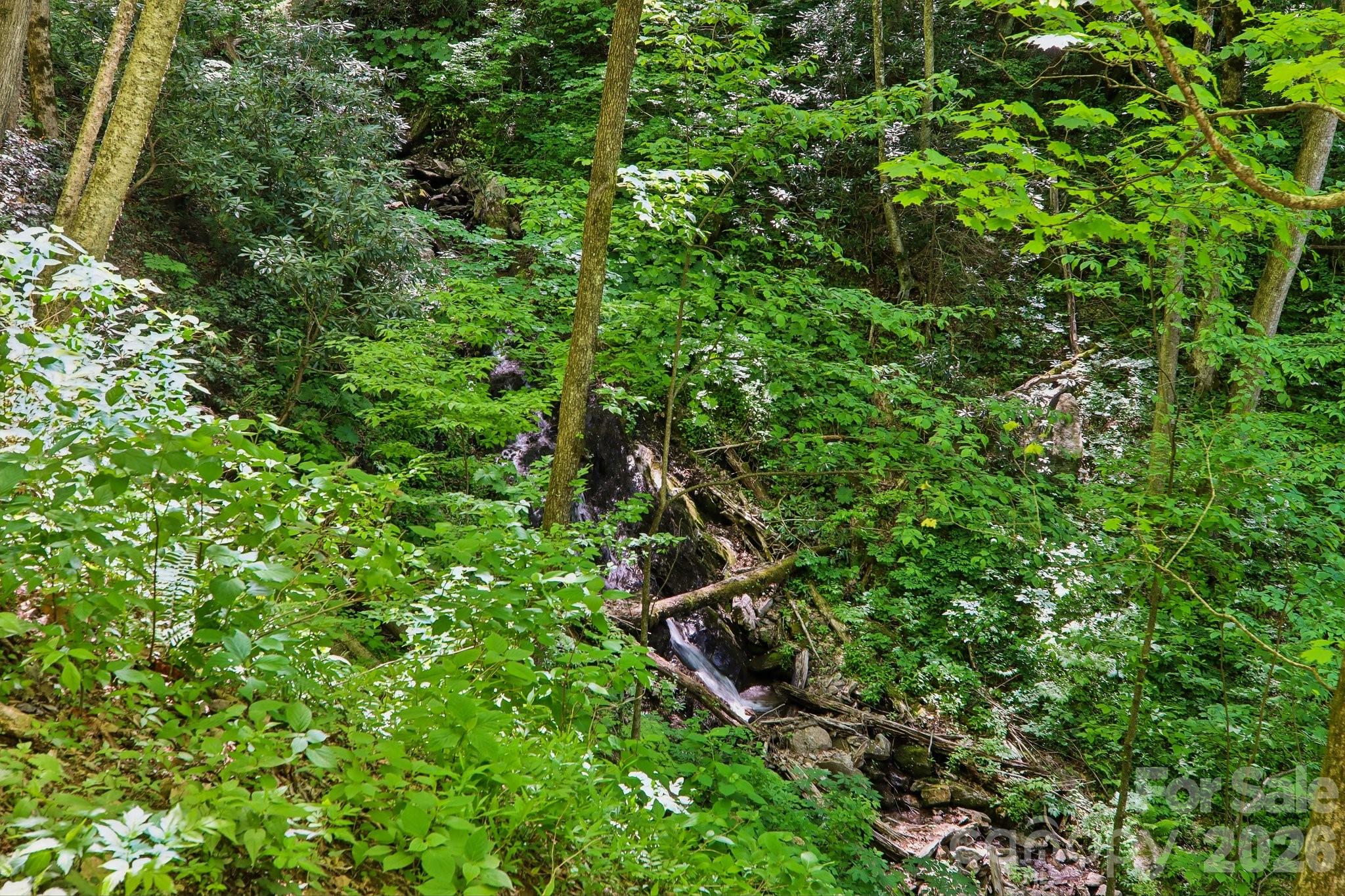 695 Wildcat Run Maggie Valley NC 28751