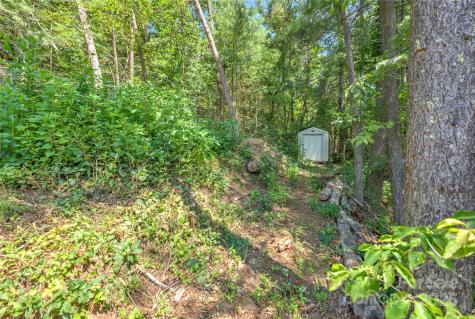 16 Graystone Road Asheville NC 28804
