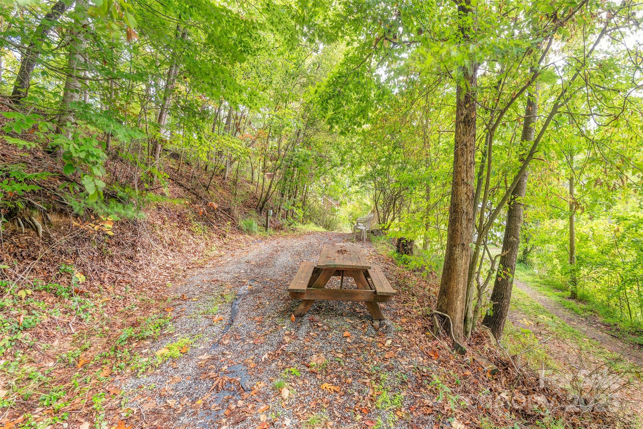 40 Craggy View Lane Barnardsville NC 28709