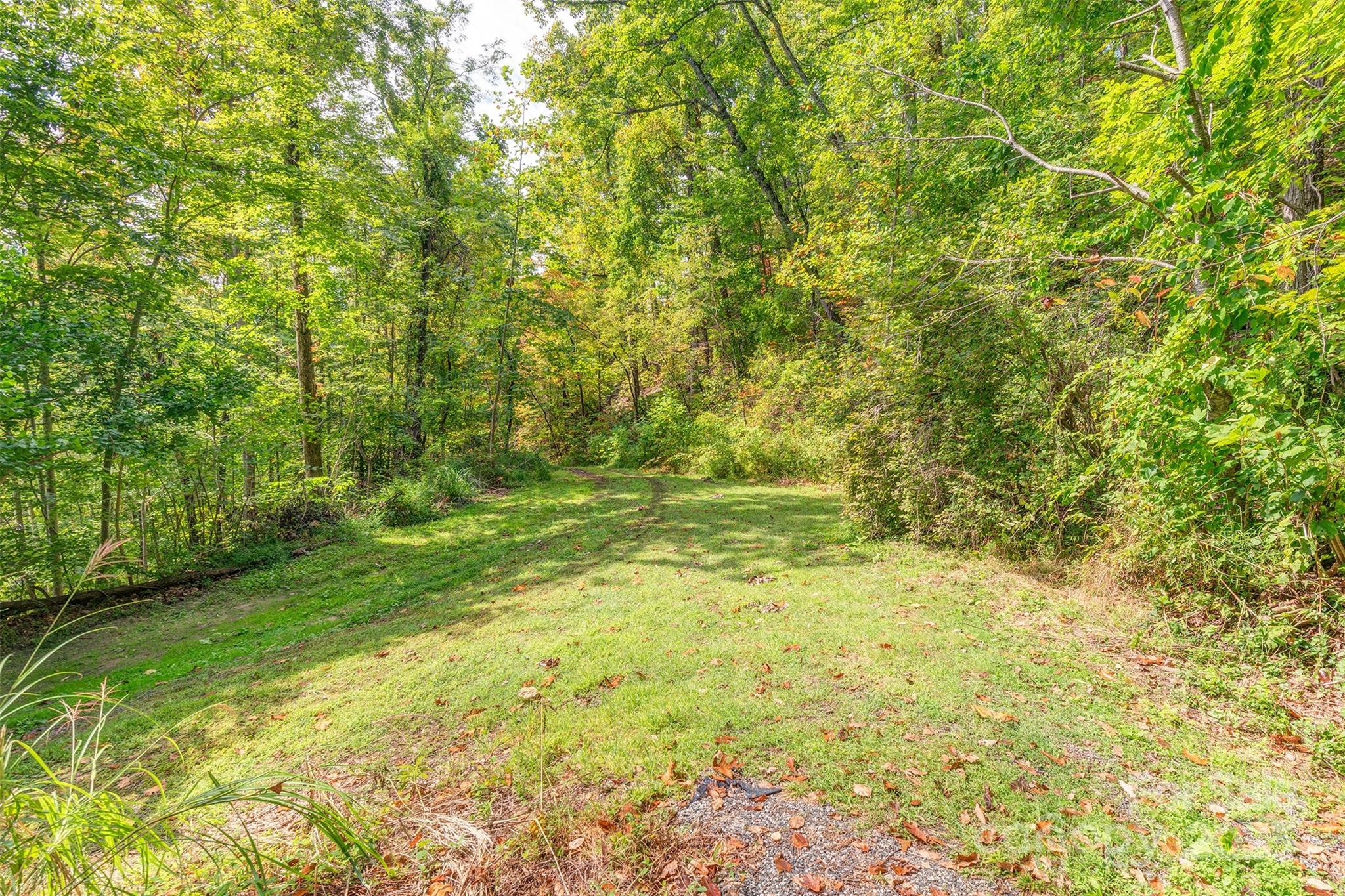 40 Craggy View Lane Barnardsville NC 28709