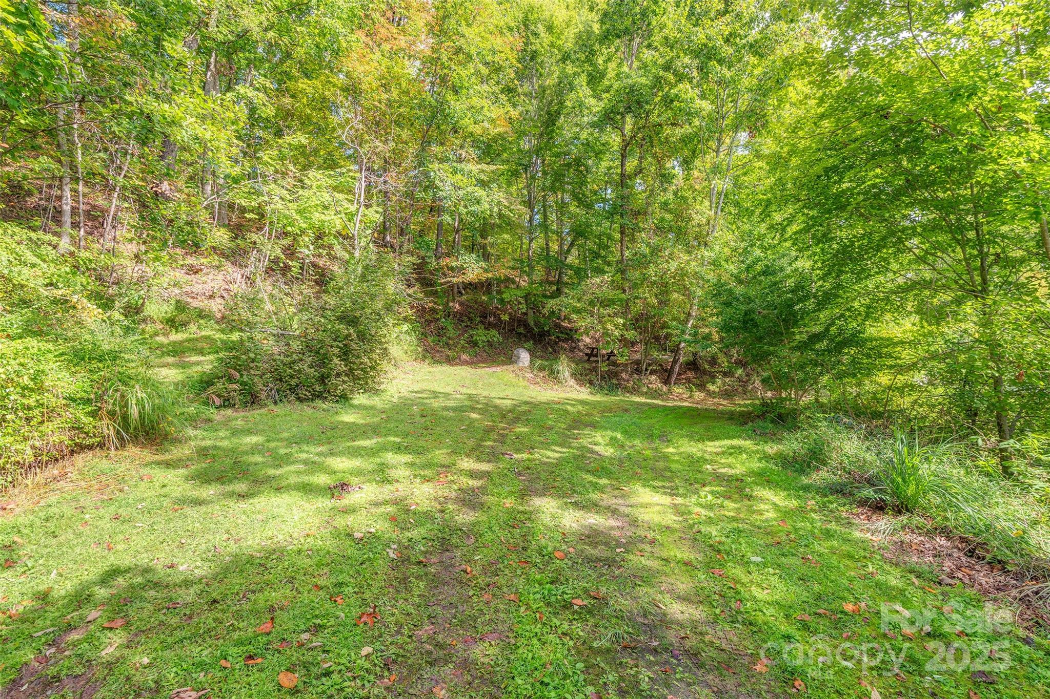 40 Craggy View Lane Barnardsville NC 28709