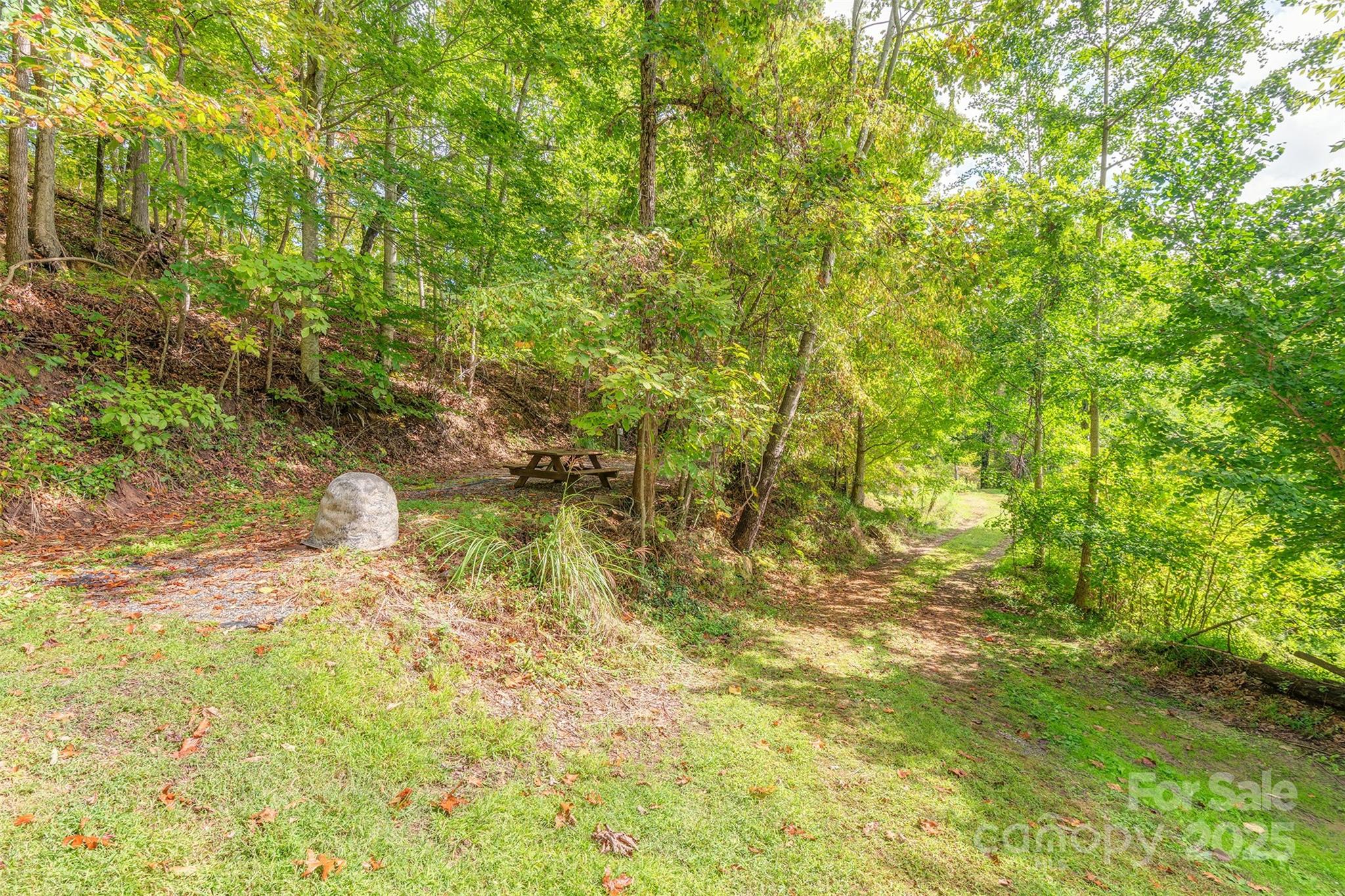 40 Craggy View Lane Barnardsville NC 28709