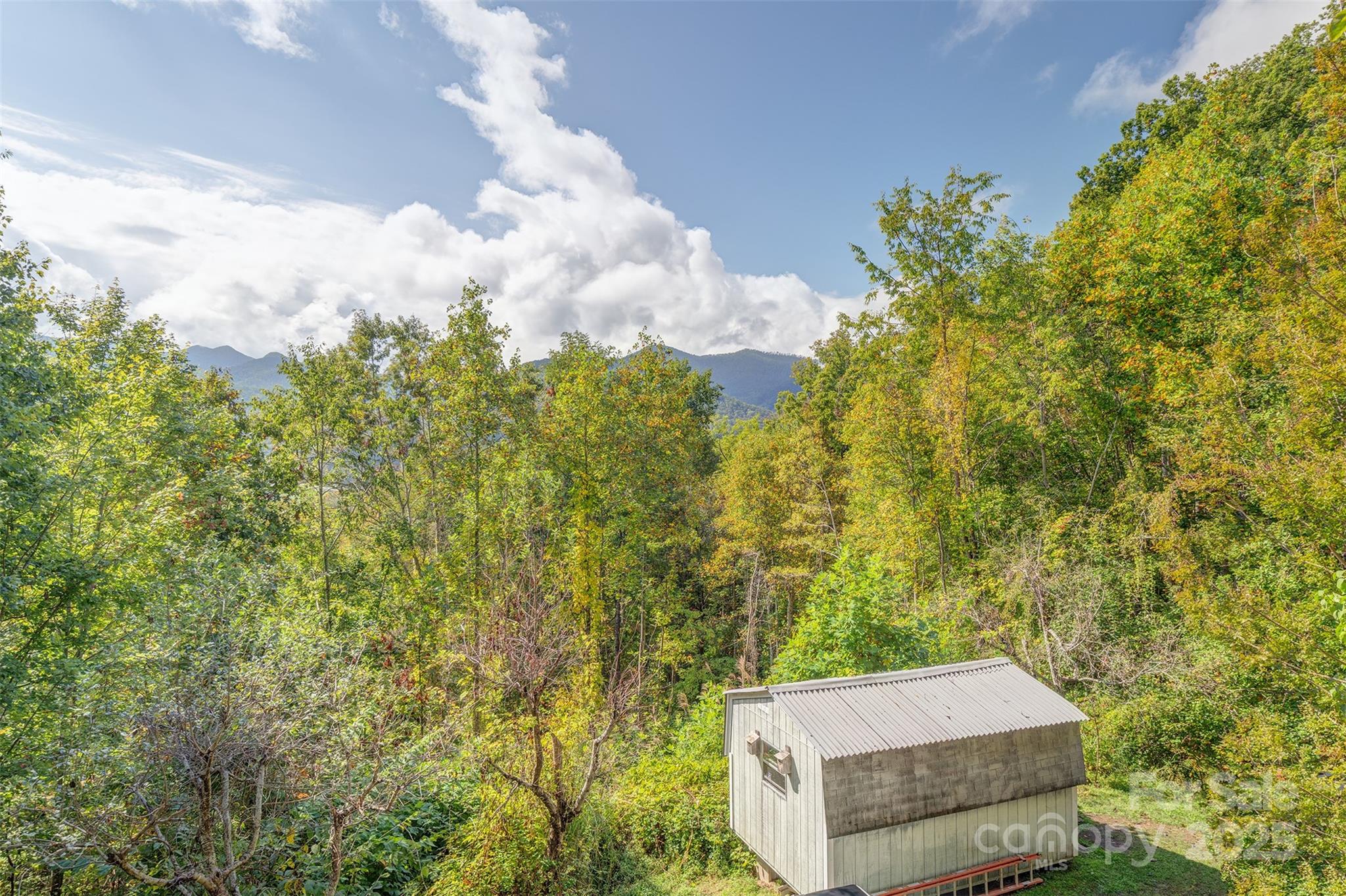 40 Craggy View Lane Barnardsville NC 28709