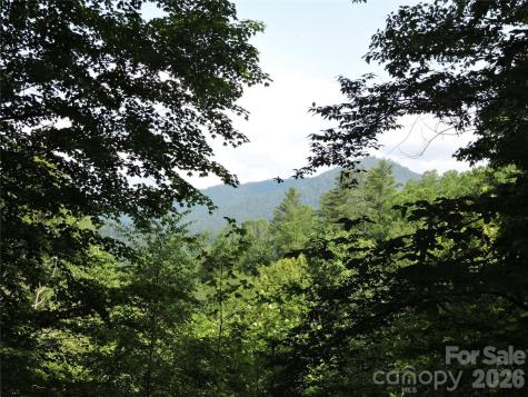 103 Chucks Lane Bakersville NC 28705