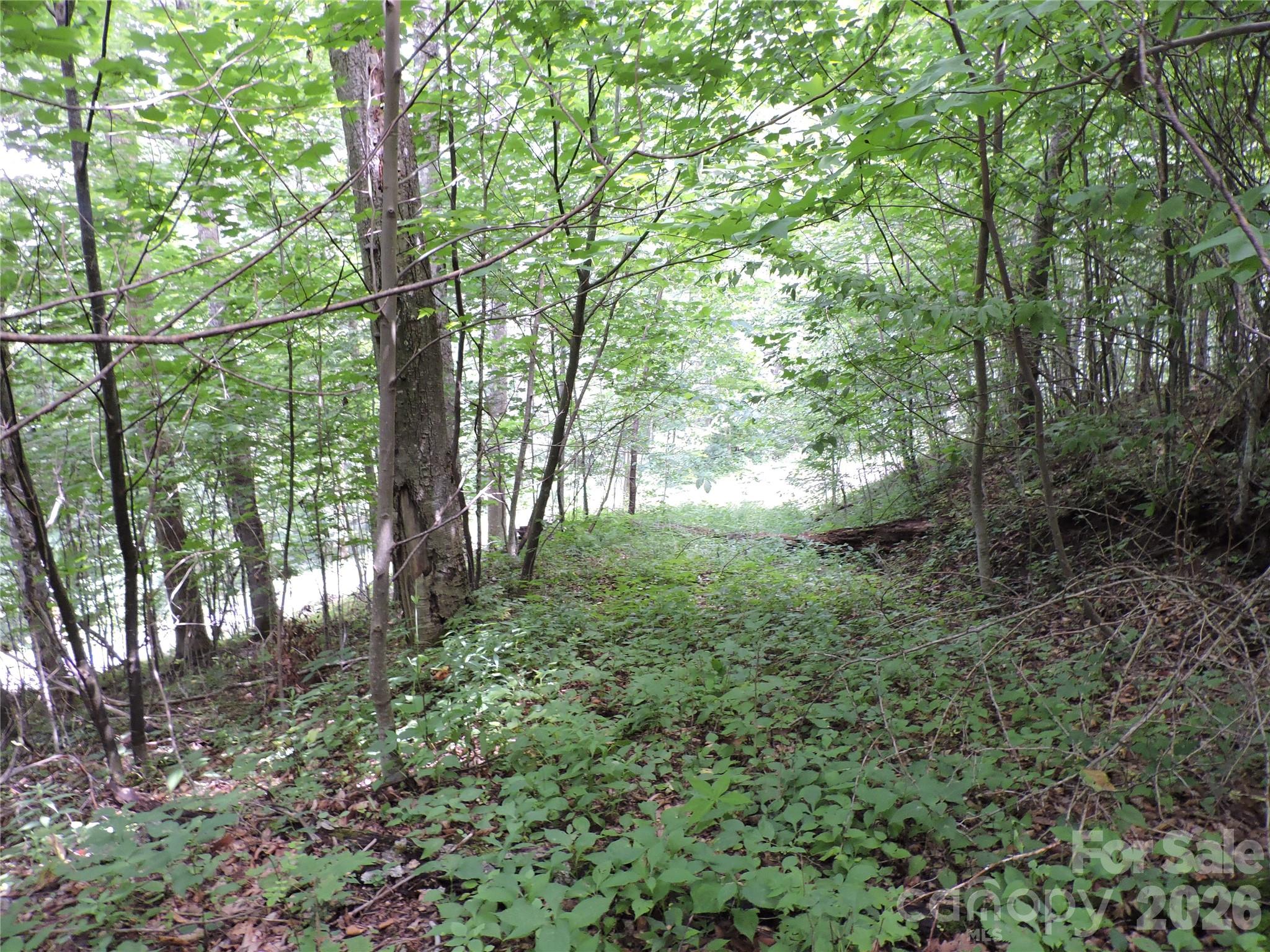 103 Chucks Lane Bakersville NC 28705