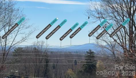 24 Acadia Drive Asheville NC 28806