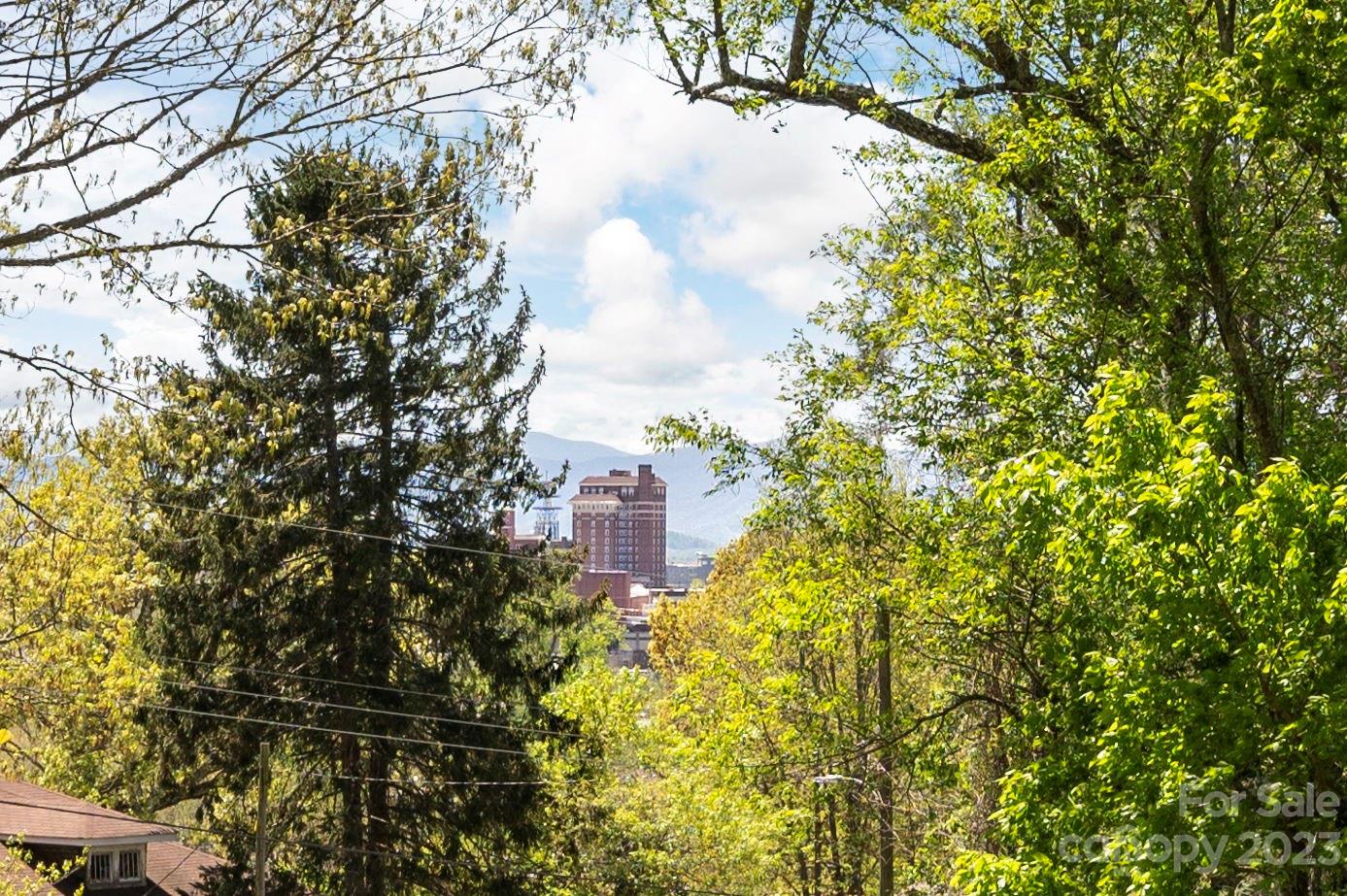 12 Sunset Drive Asheville NC 28804