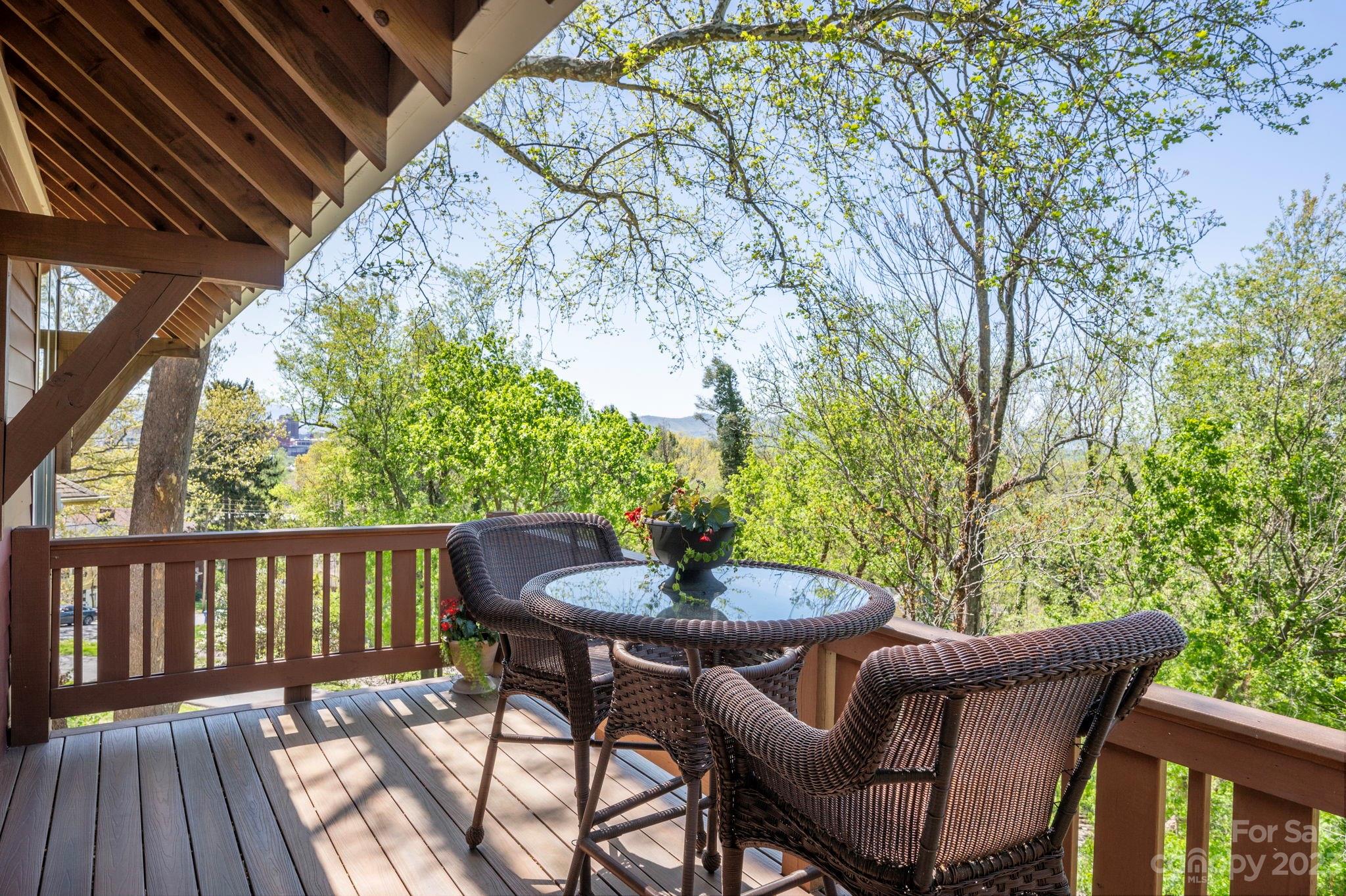 12 Sunset Drive Asheville NC 28804
