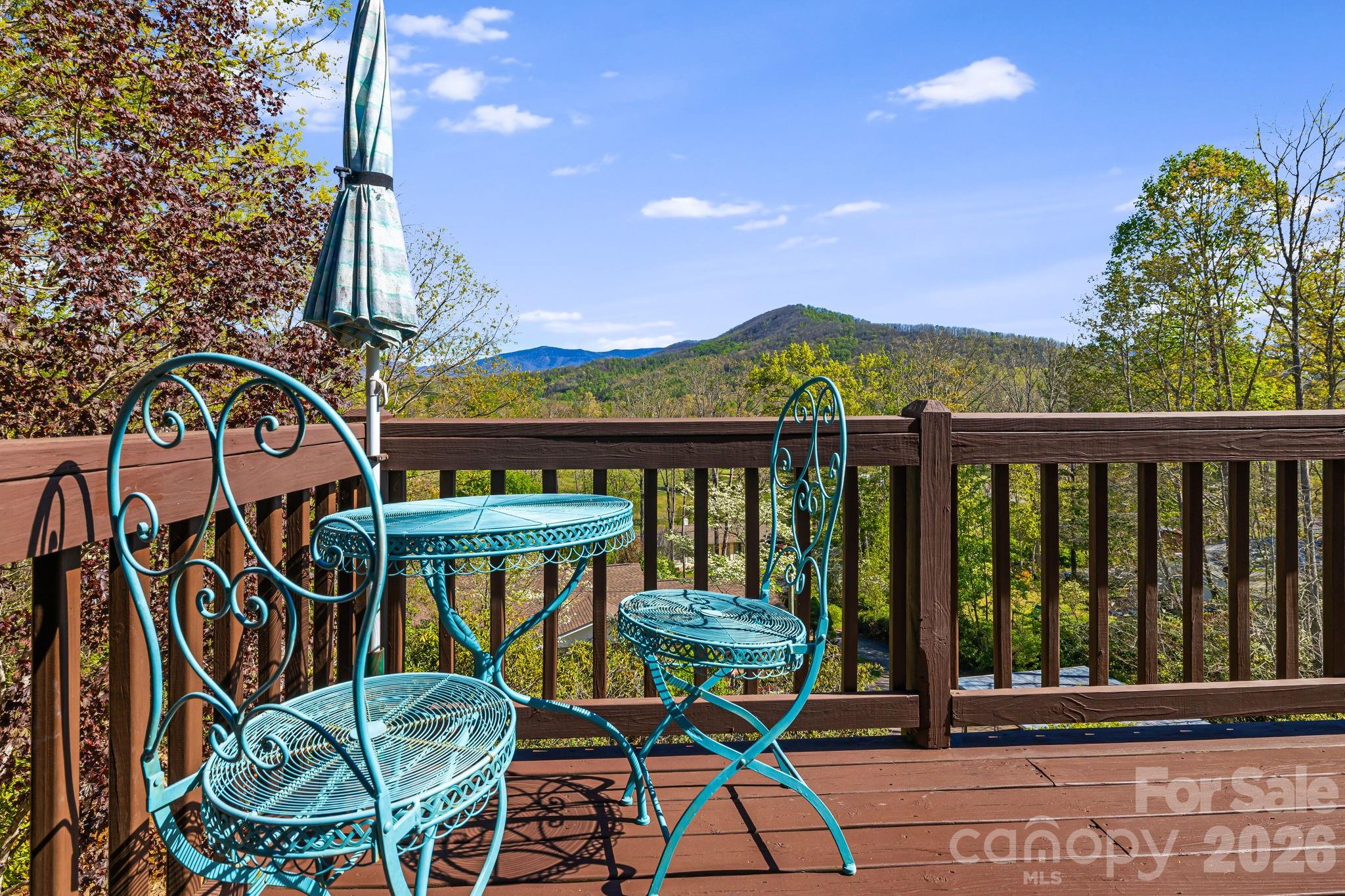 144 Hilltop Road Black Mountain NC 28711