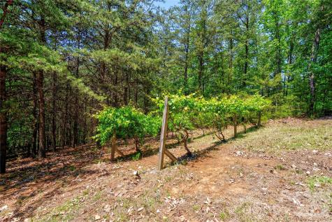389 Woodgate Drive Bostic NC 28018