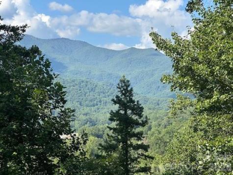 232 Heavenly View Drive Sylva NC 28779