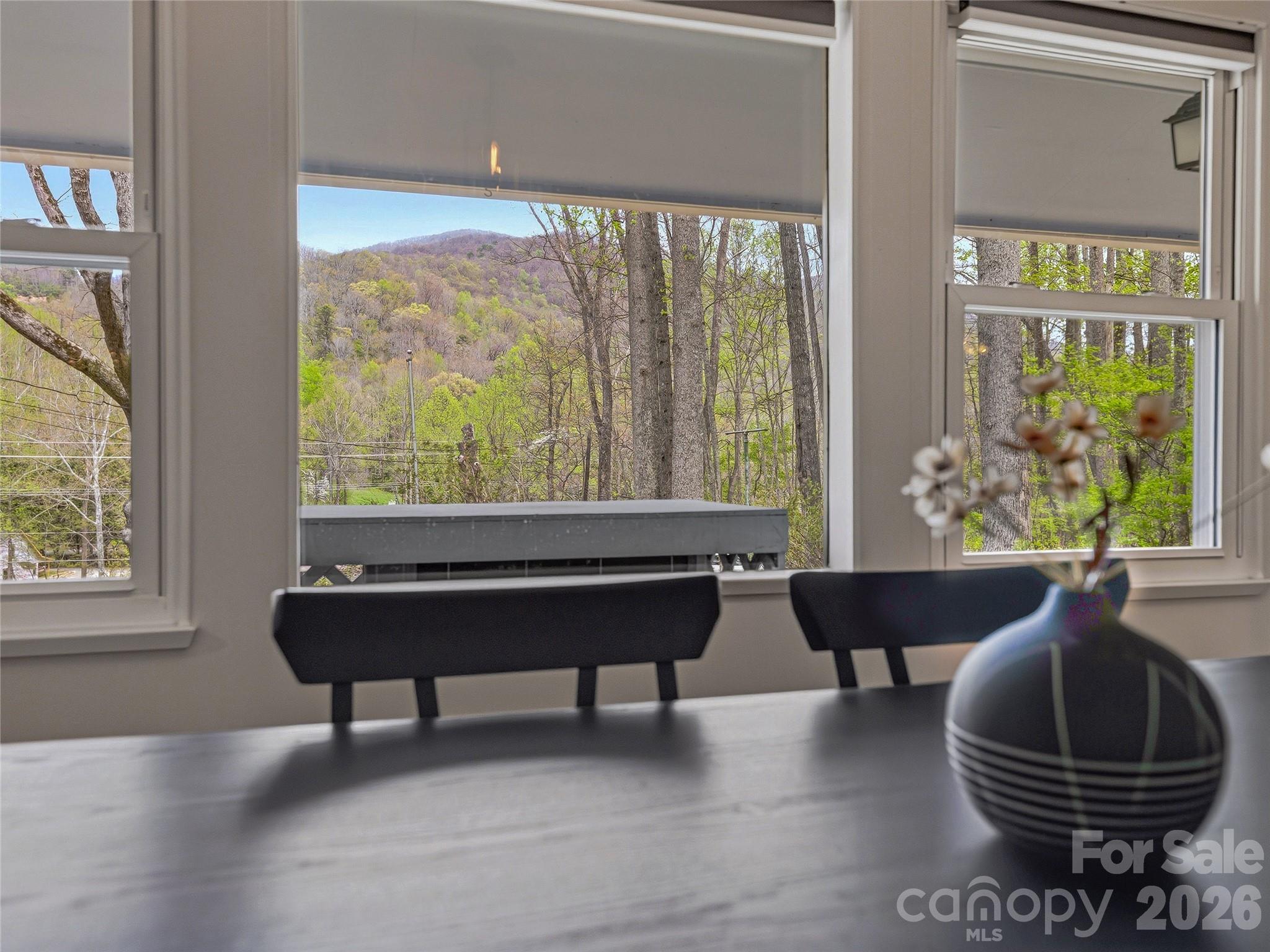 36 Dogwood Drive Maggie Valley NC 28751