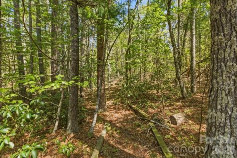 31 Ashbrook Meadows Fletcher NC 28732