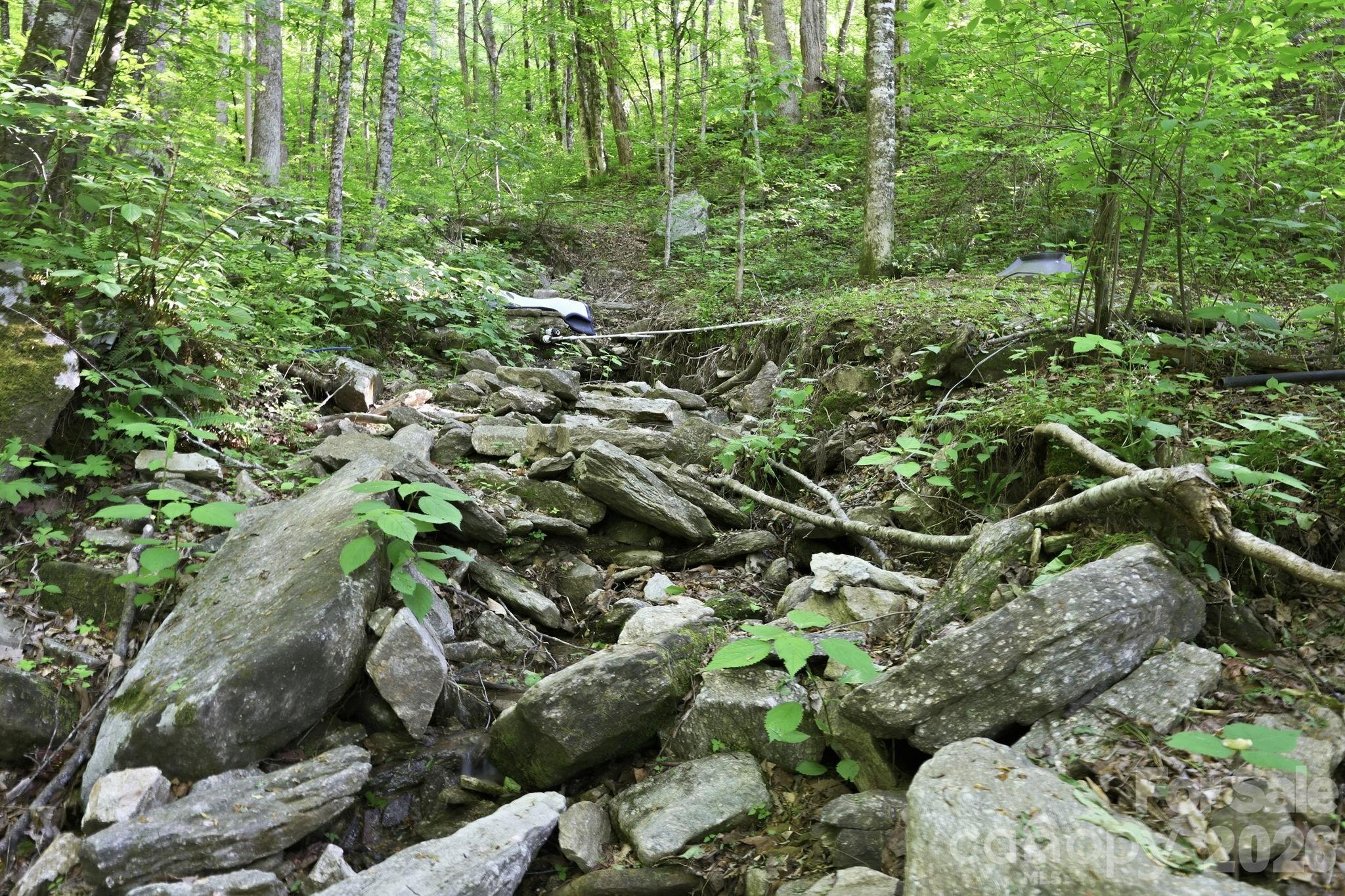 98 Sparkling Springs Road Fairview NC 28730