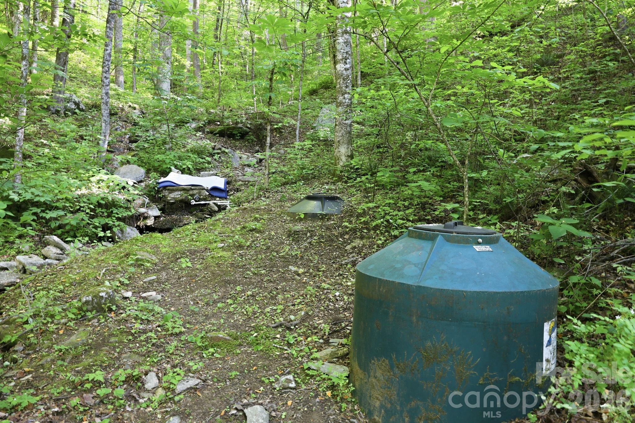 98 Sparkling Springs Road Fairview NC 28730