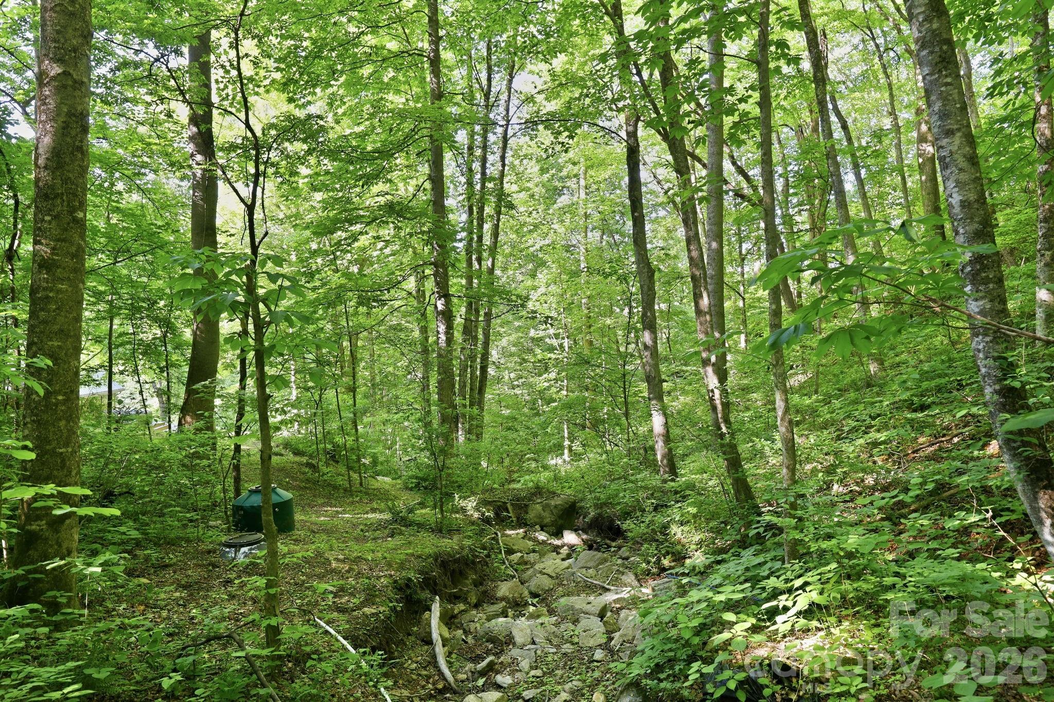 98 Sparkling Springs Road Fairview NC 28730